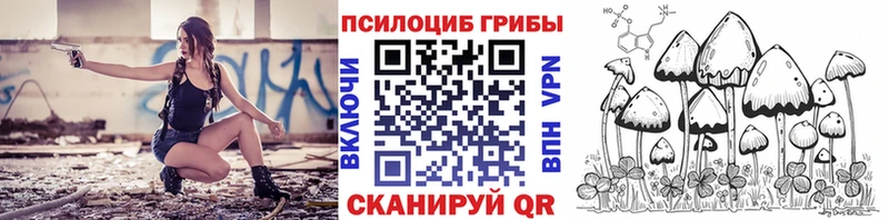 где можно купить   Полысаево  Галлюциногенные грибы GOLDEN TEACHER 