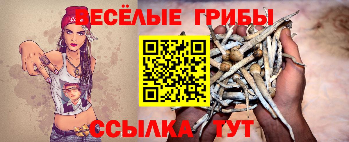 Галлюциногенные грибы ЛСД  Галлюциногенные грибы ЛСД  Полысаево 