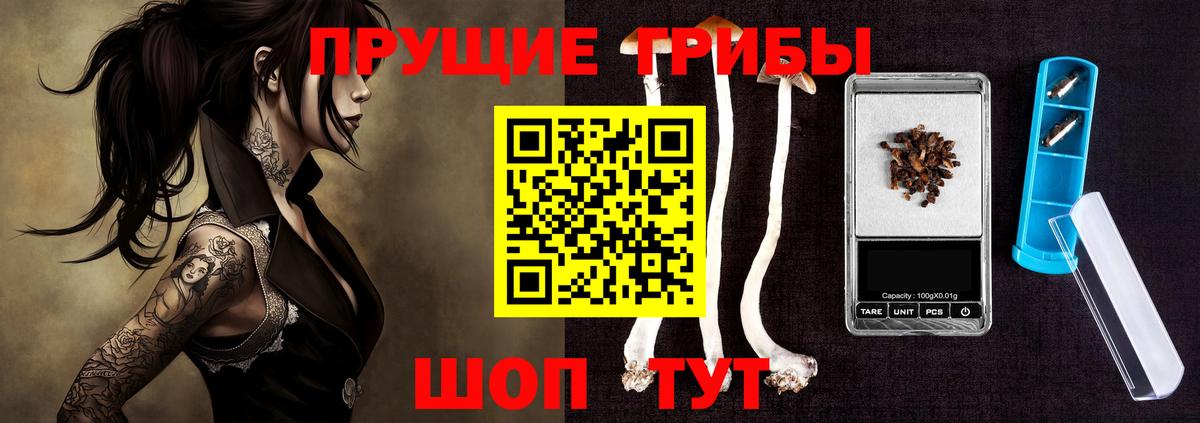 Псилоцибиновые грибы MAGIC MUSHROOMS Полысаево