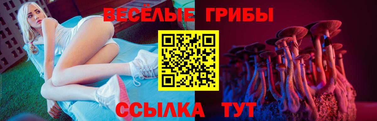 Галлюциногенные грибы GOLDEN TEACHER  Вход с VPN  Псилоцибиновые грибы Cubensis  Полысаево 